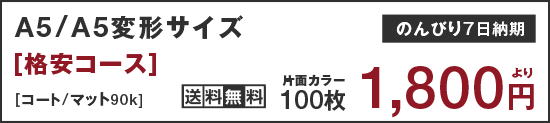 チラシ・フライヤー印刷[A5サイズ] 格安コース