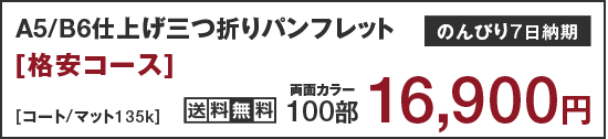 A5/B6仕上げ三つ折りパンフレット印刷 格安コース